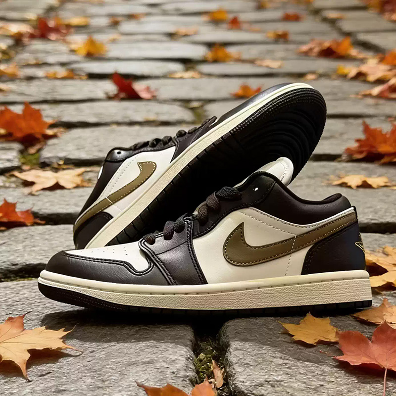 Nike Jordan Air Jordan1 Low Wh - Women'S Shoes Nike Jordan review and price