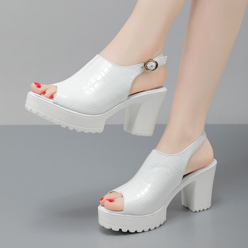 Women Small Size 32-43 Elegant - Women Shoes Model review and price